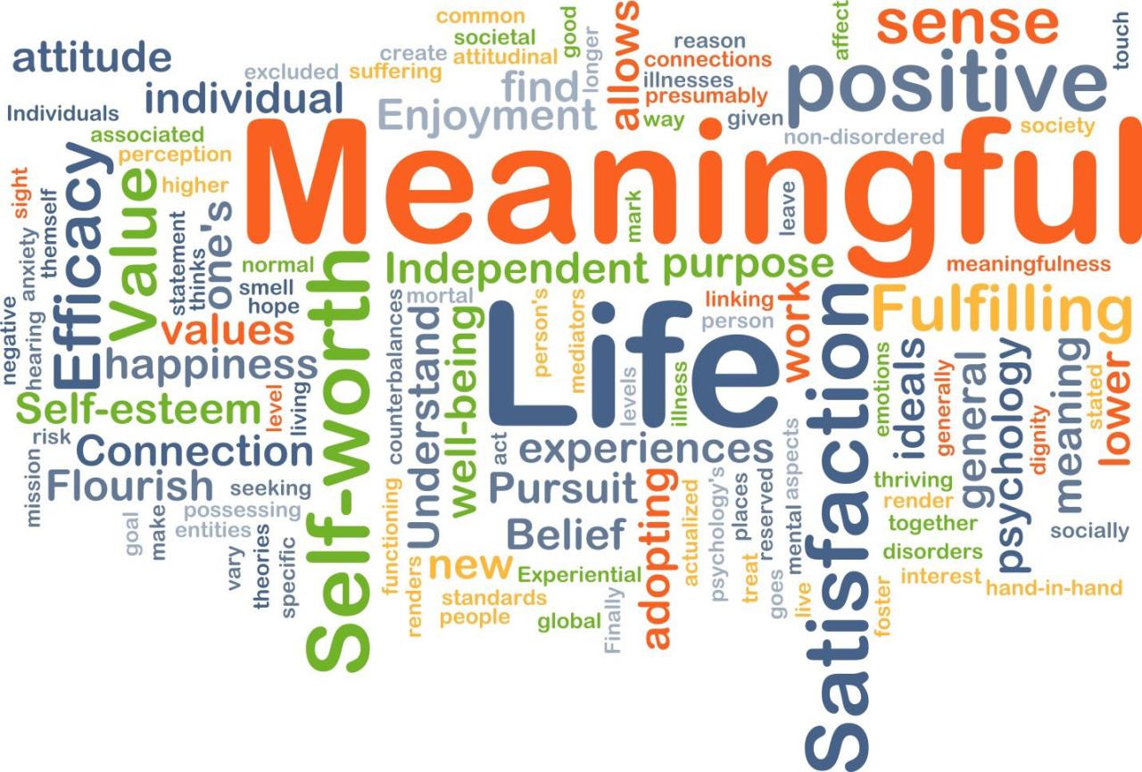 Meaningful life live